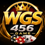 wgs456 game